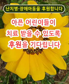 캠페인