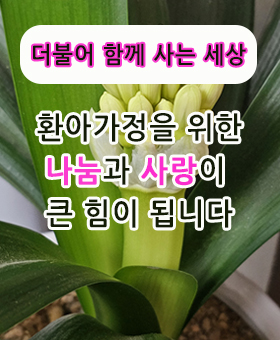 라이팅칠드런 캠페인